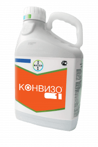 Конвизо