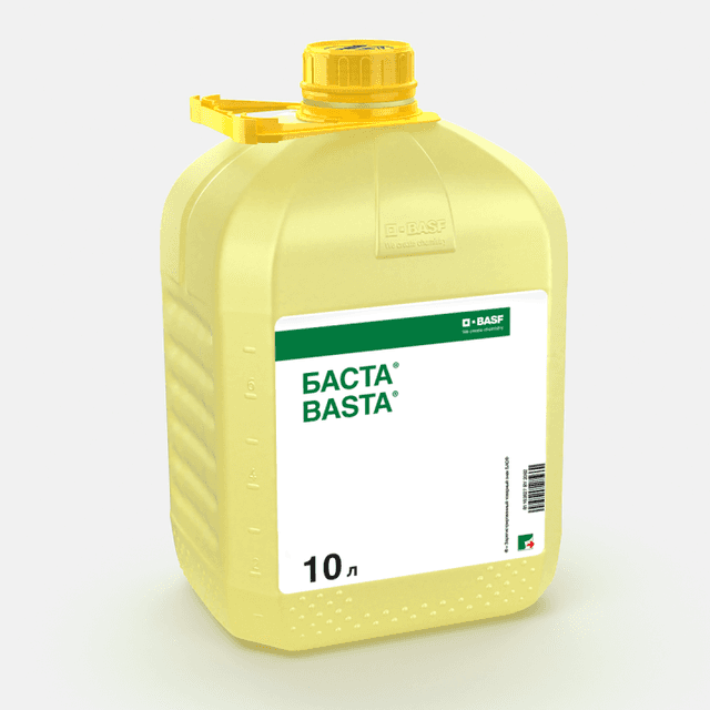 Баста, в.р.