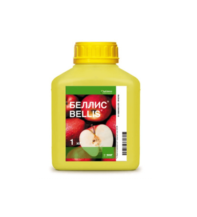 БЕЛЛИС