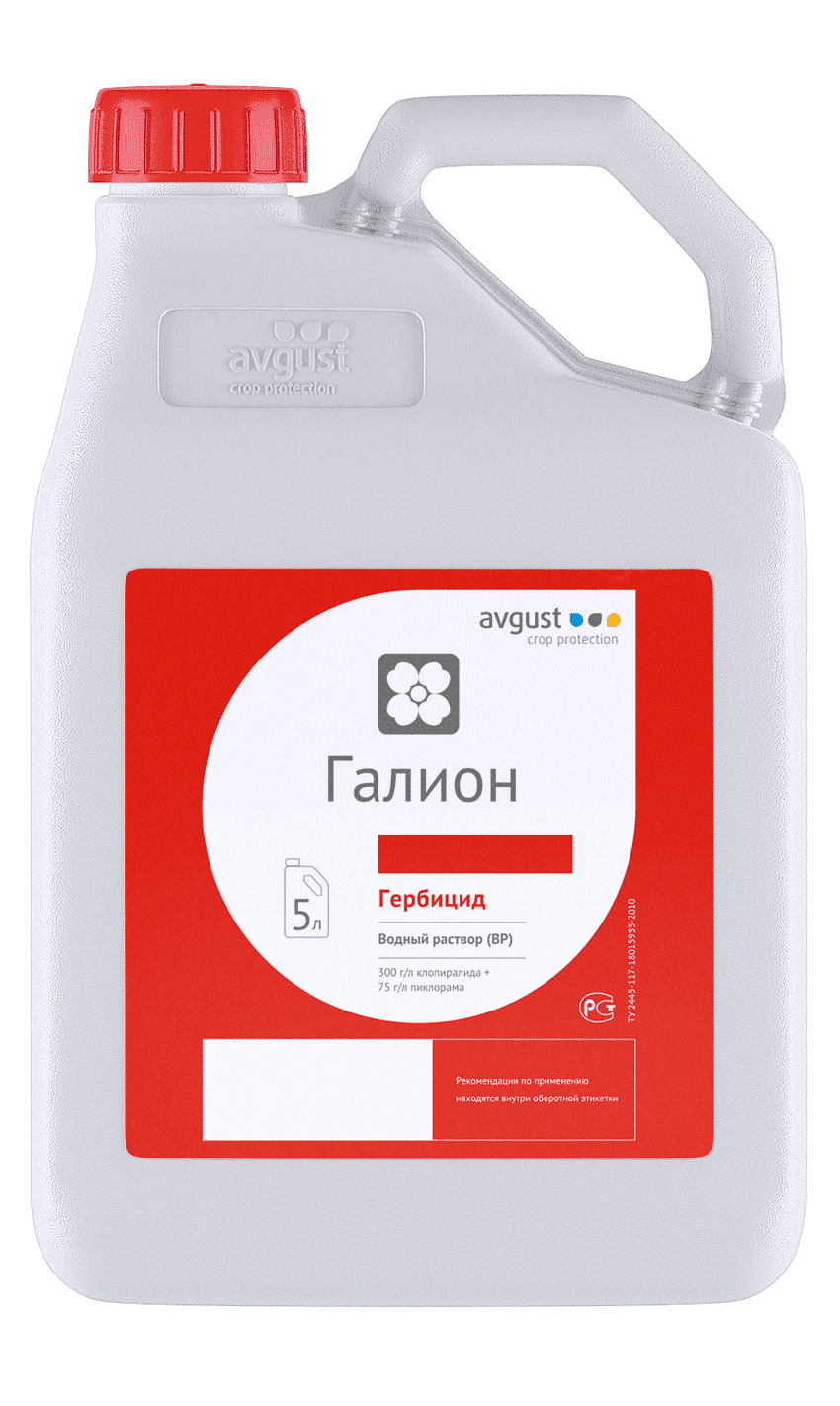 Галион