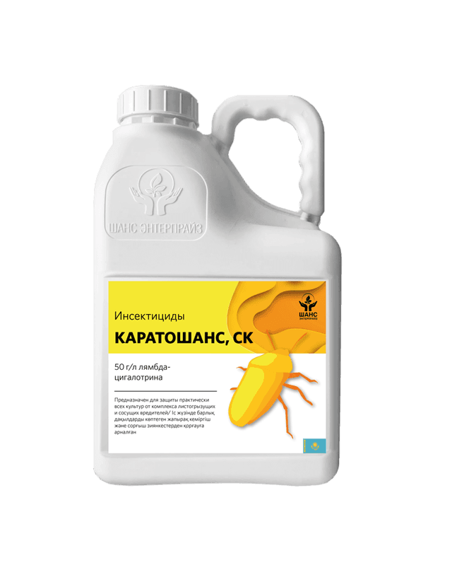 Каратошанс, КЭ