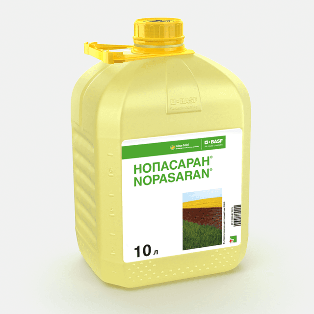Нопасаран, к.с.
