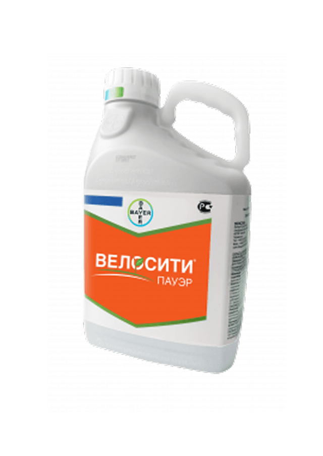 ВЕЛОСИТИ ПАУЭР