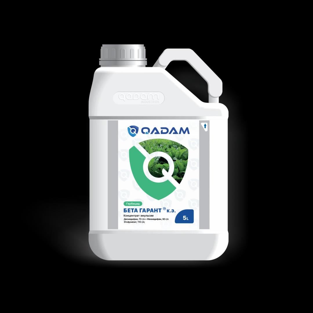 Бета гарант, к.э.