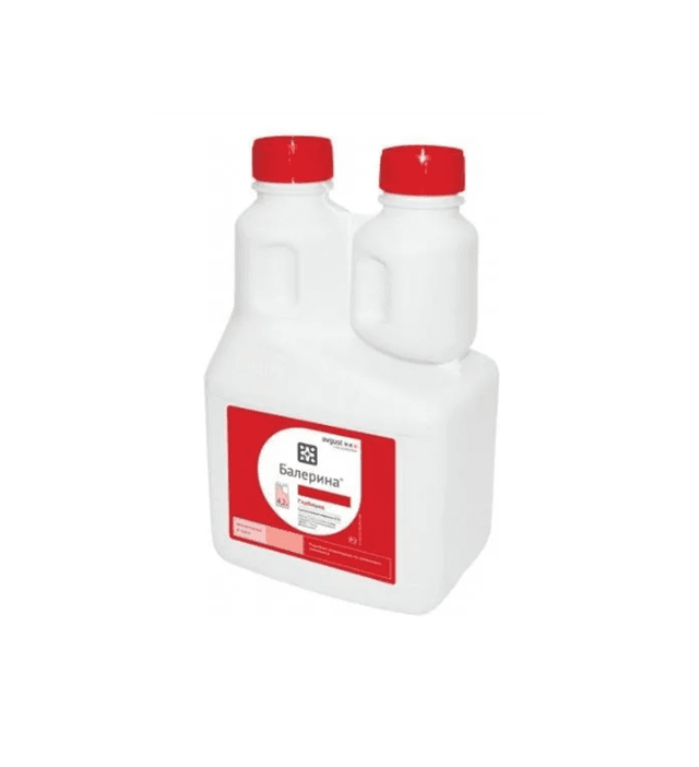 БАЛЕРИНА