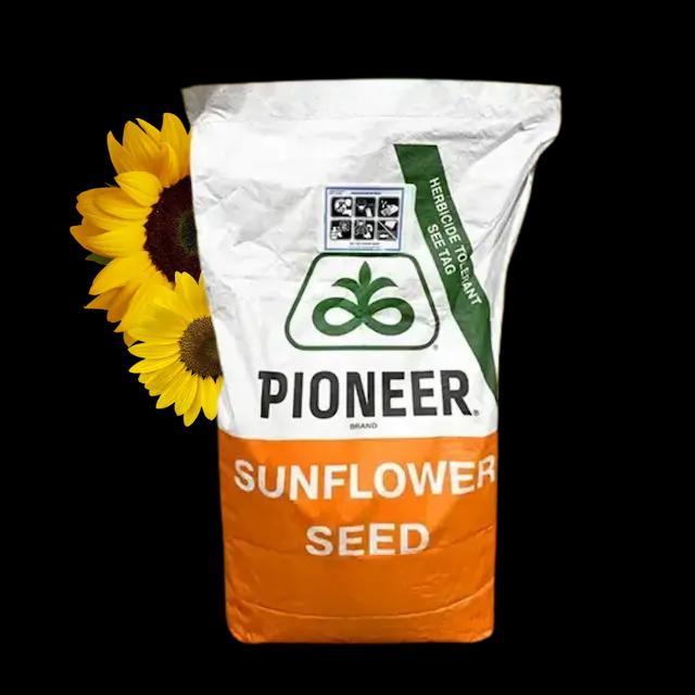 P64LP130