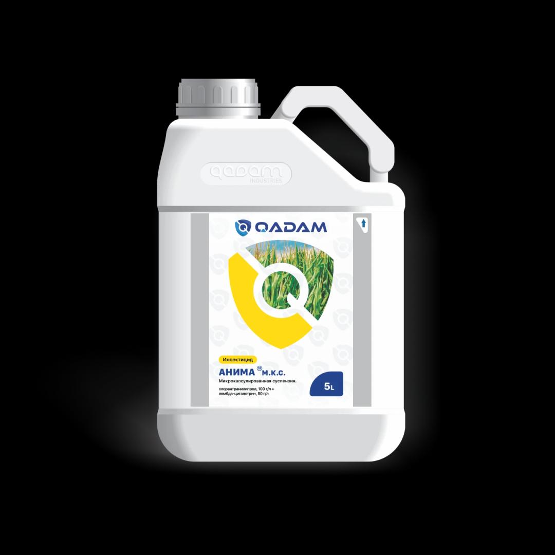 Анима, м.к.с.