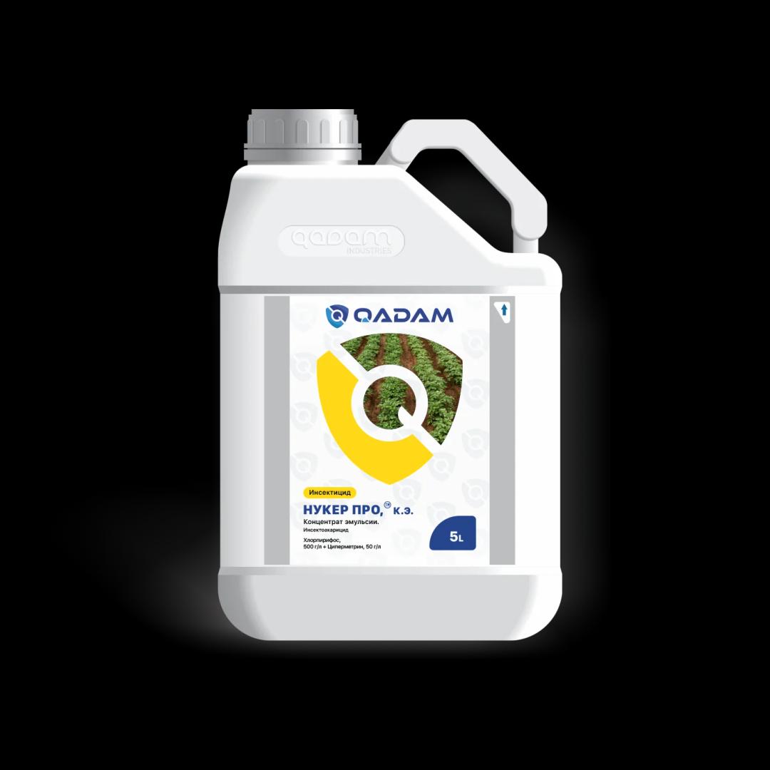 Нукер про, к.э.