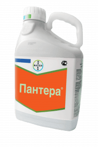 ПАНТЕРА 4%, к.э.