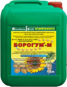 Борогум-М