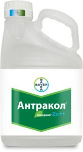 АНТРАКОЛ 70%, с.п.