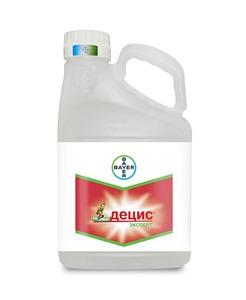 ДЕЦИС ЭКСПЕРТ