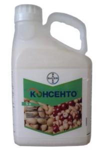 КОНСЕНТО