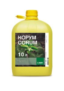 КОРУМ
