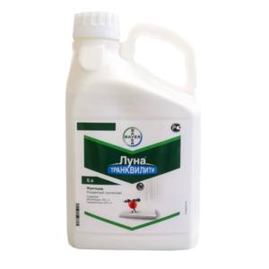 ЛУНА ТРАНКВИЛИТИ