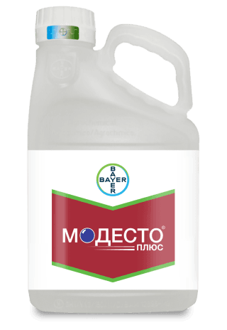 МОДЕСТО 48%, к.с.