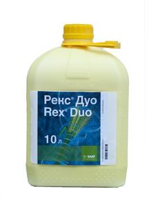 РЕКС ДУО