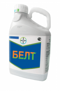 БЕЛТ