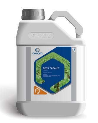 БЕТА ГАРАНТ к.э.