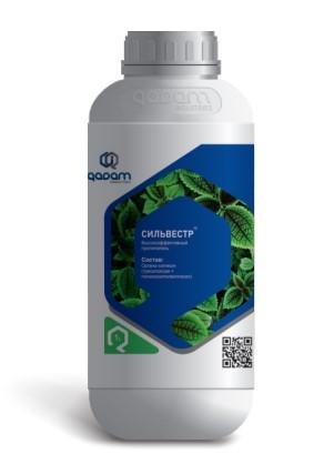 СИЛЬВЕСТР