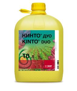 КИНТО ДУО
