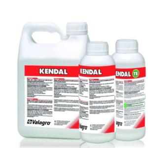 Kendal TE