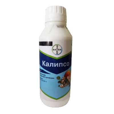 КАЛИПСО