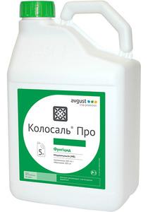 КОЛОСАЛЬ ПРО