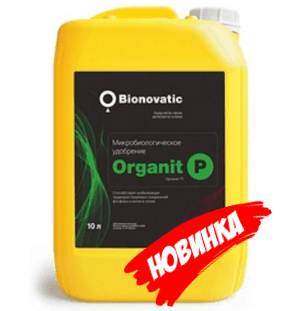 Органит П