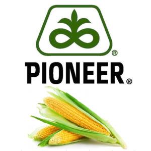 PIONEER P7043